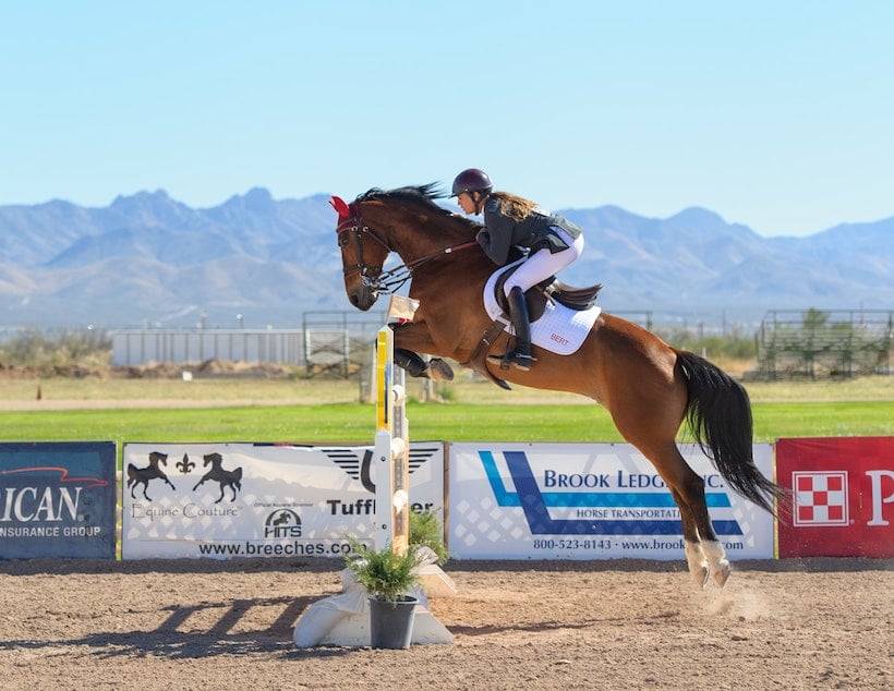 horsearena horsearena